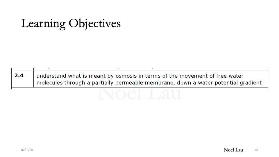 Slide 12