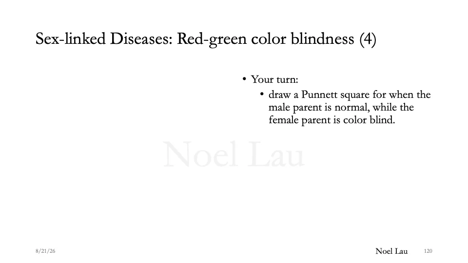 Slide 120