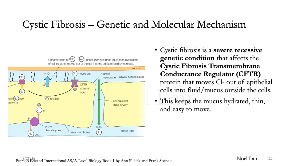 Slide 122