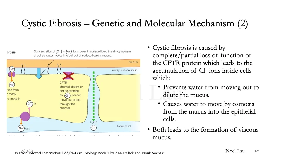 Slide 123