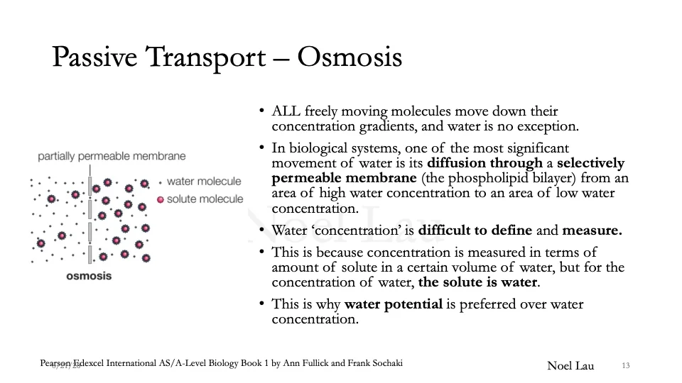Slide 13