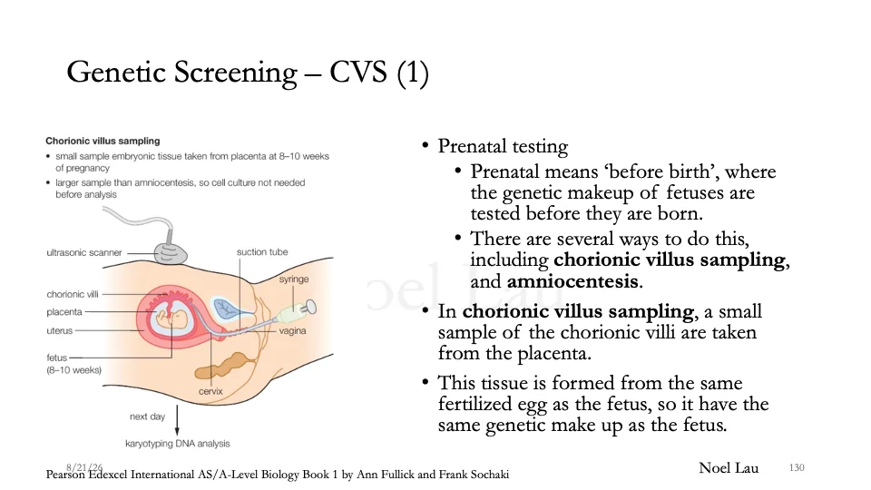 Slide 130