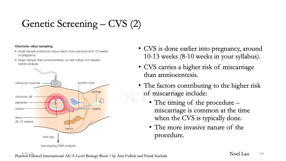 Slide 131