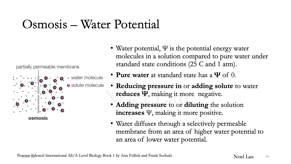 Slide 14