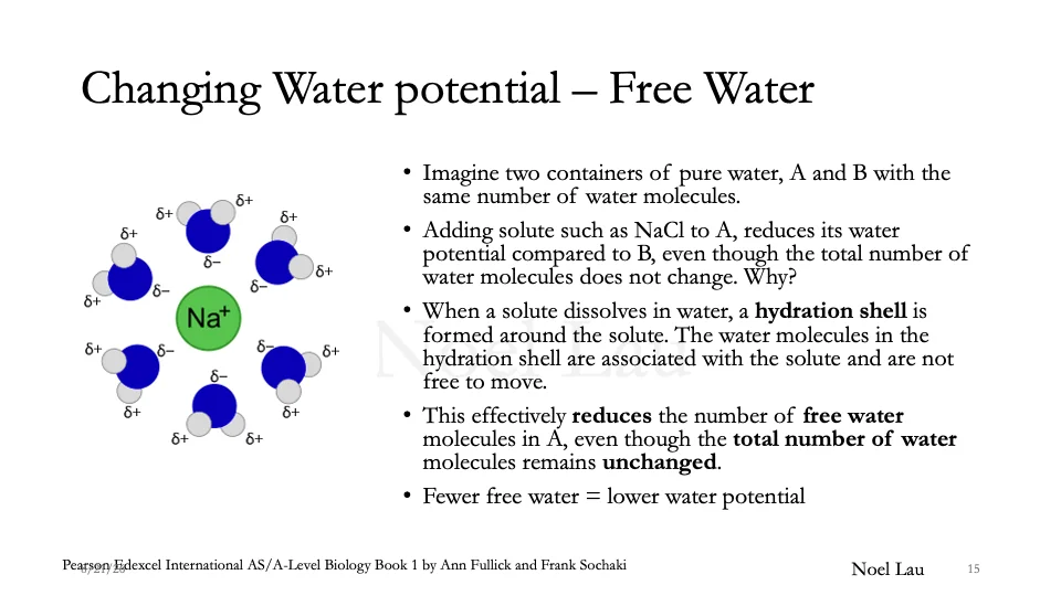 Slide 15