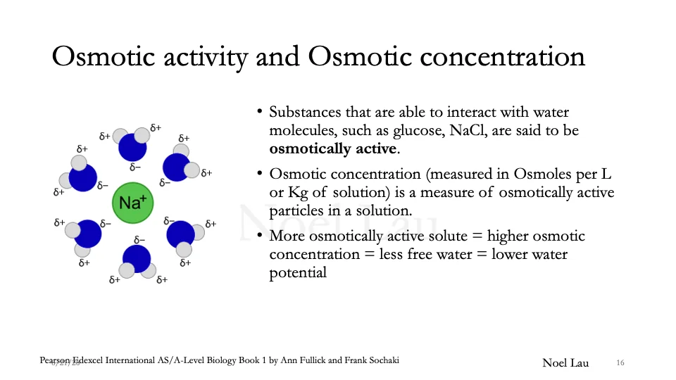 Slide 16