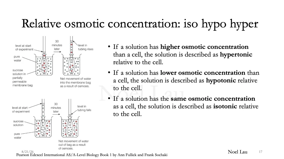 Slide 17