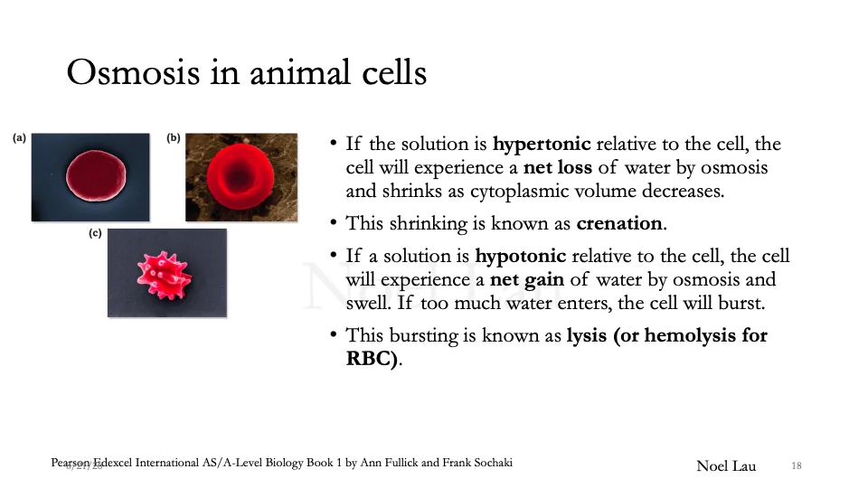 Slide 18