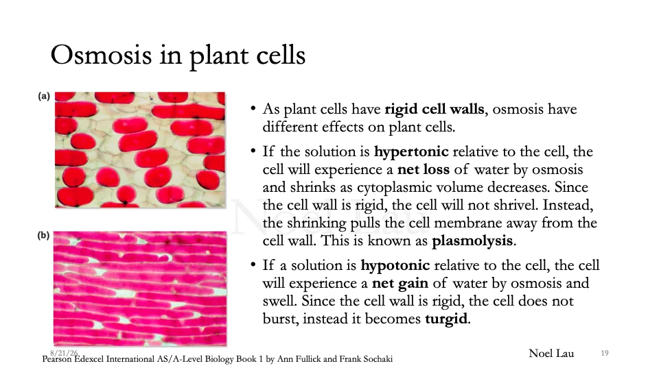 Slide 19