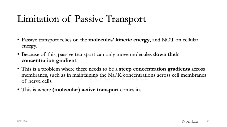 Slide 21