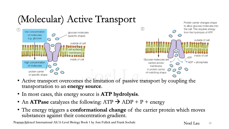 Slide 22