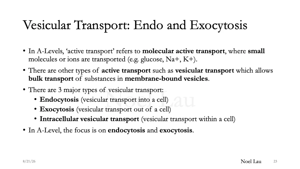 Slide 23