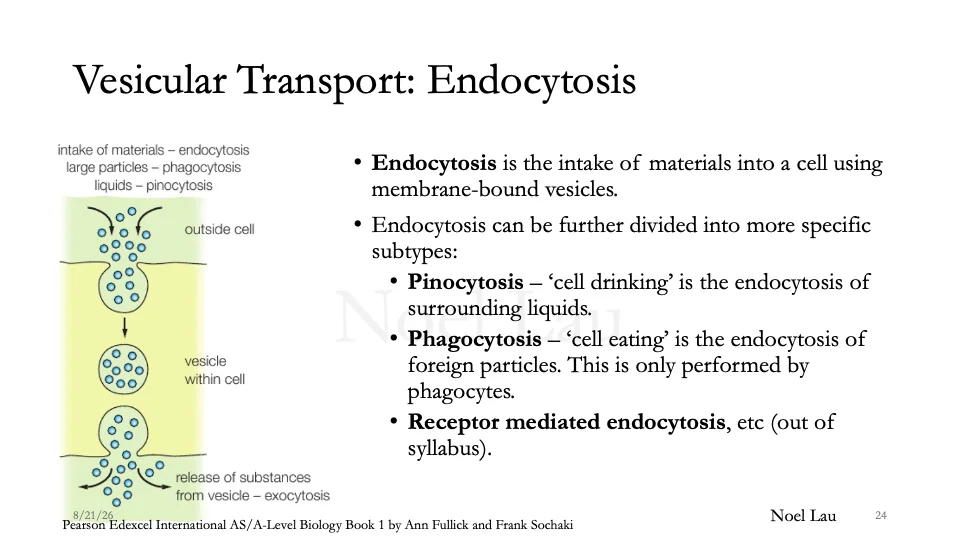 Slide 24