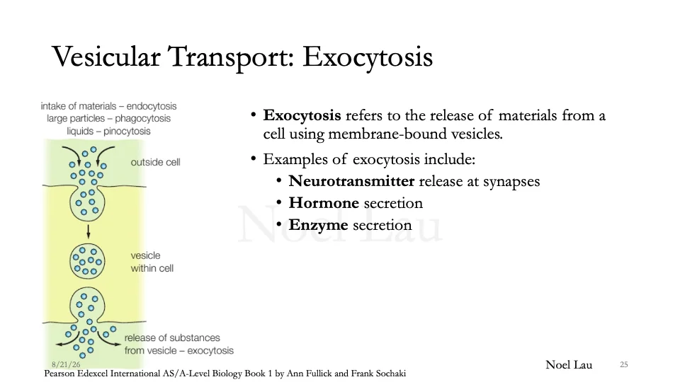 Slide 25