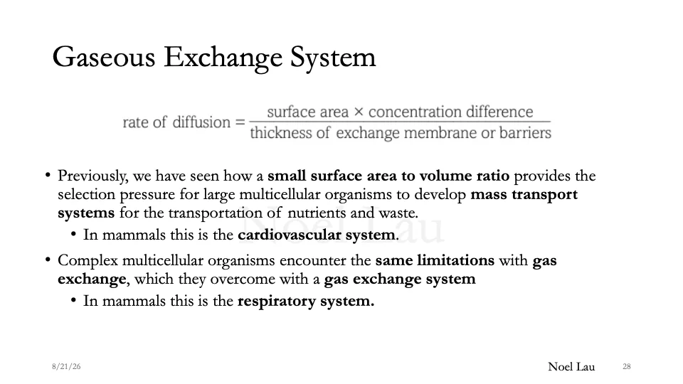 Slide 28