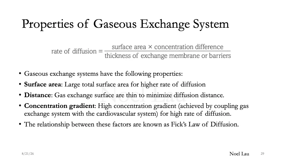 Slide 29