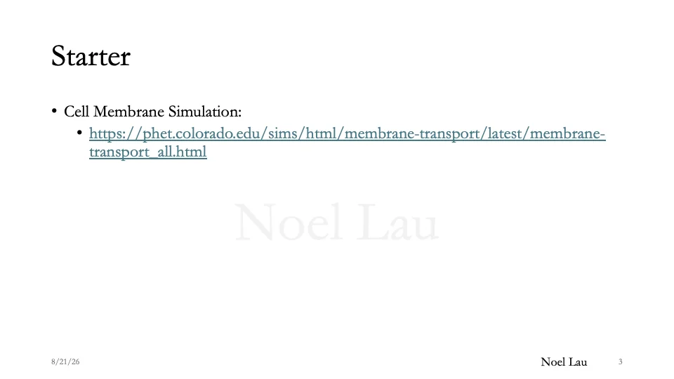 Slide 3