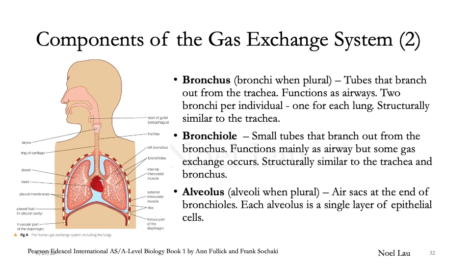 Slide 32