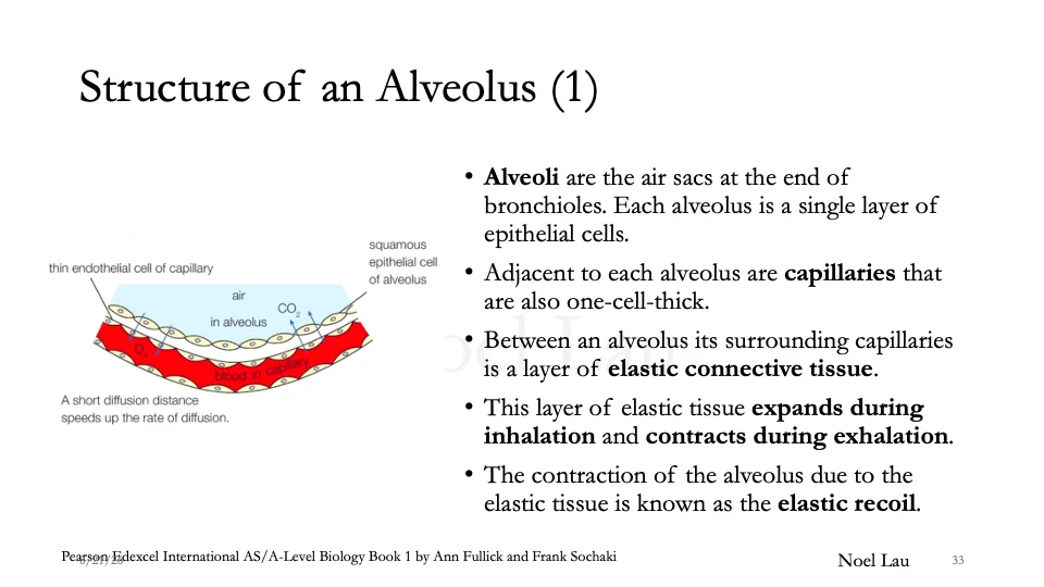 Slide 33