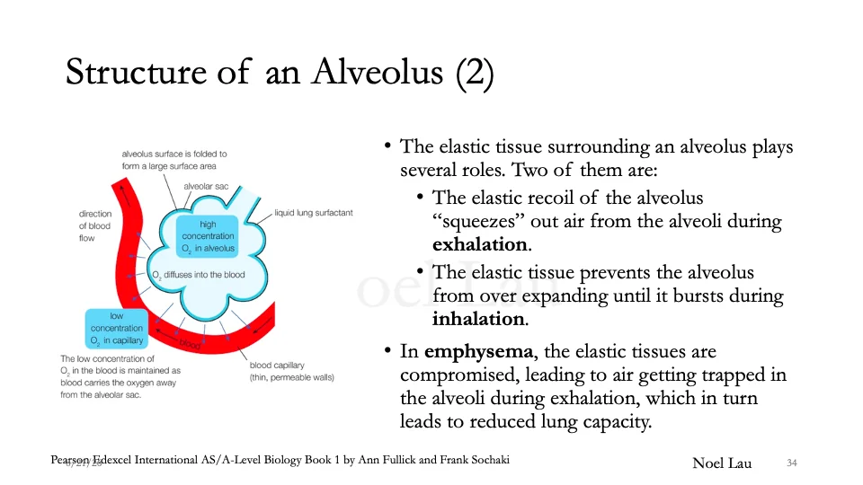 Slide 34