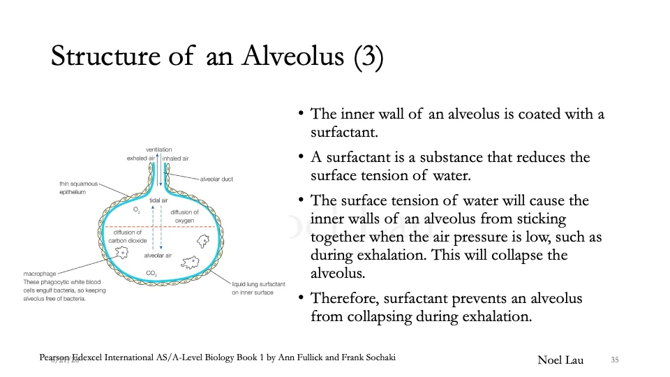 Slide 35