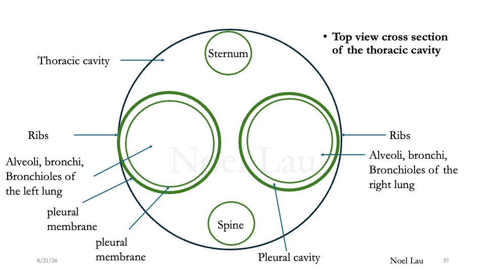 Slide 37