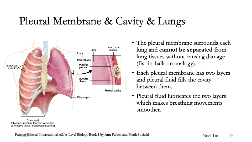 Slide 38