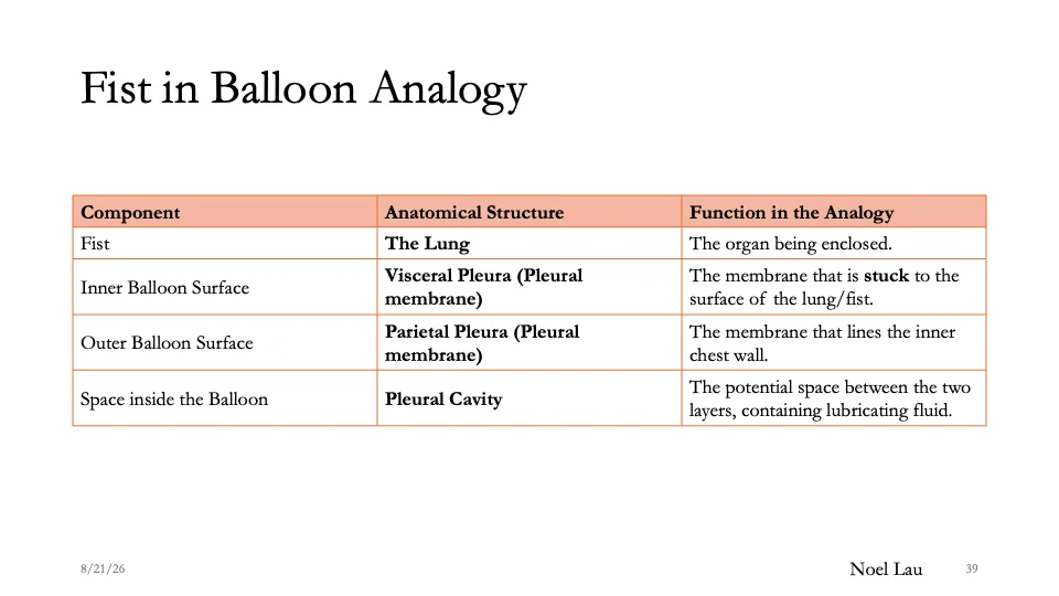 Slide 39