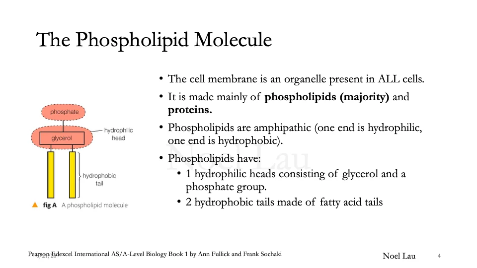 Slide 4