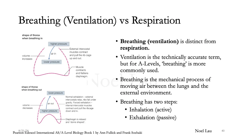 Slide 40