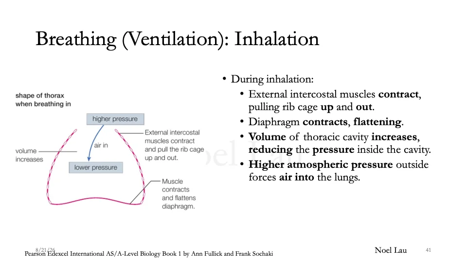 Slide 41