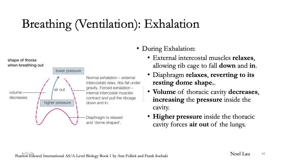 Slide 42