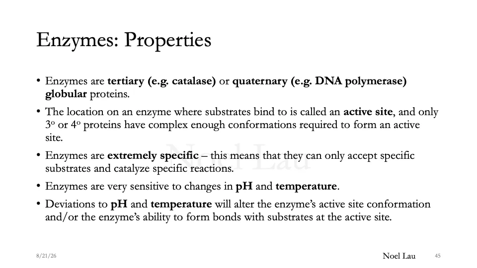 Slide 45