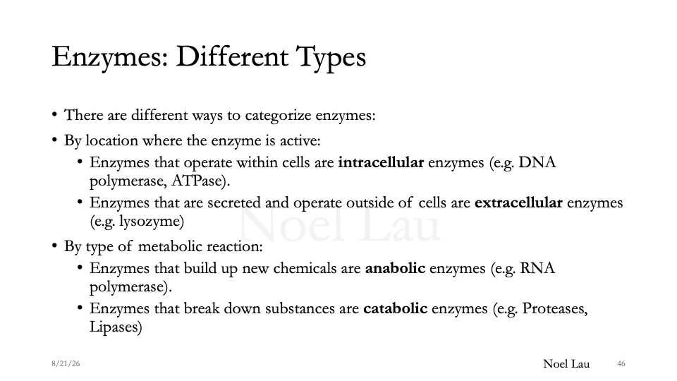 Slide 46