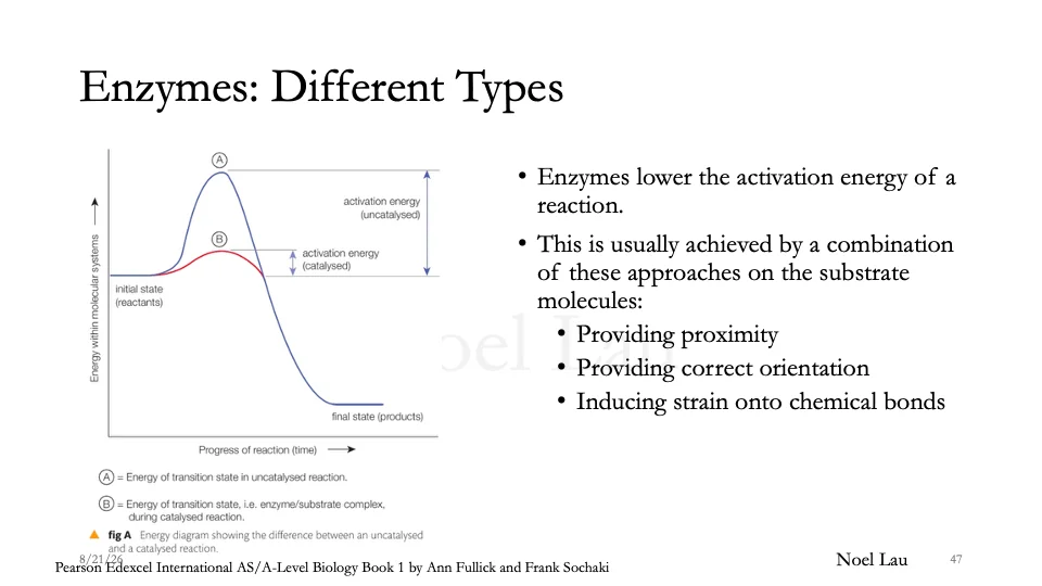 Slide 47
