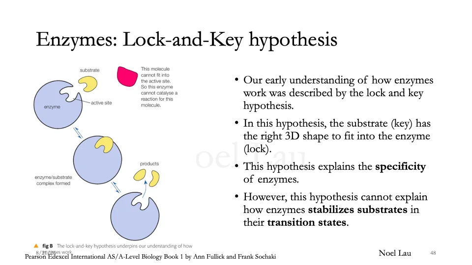 Slide 48