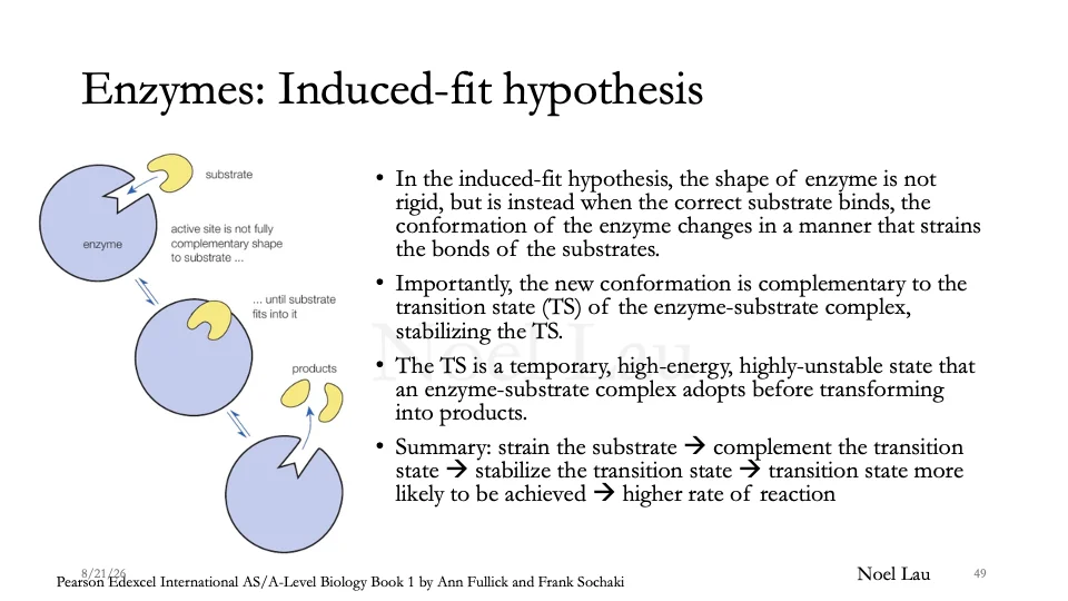 Slide 49