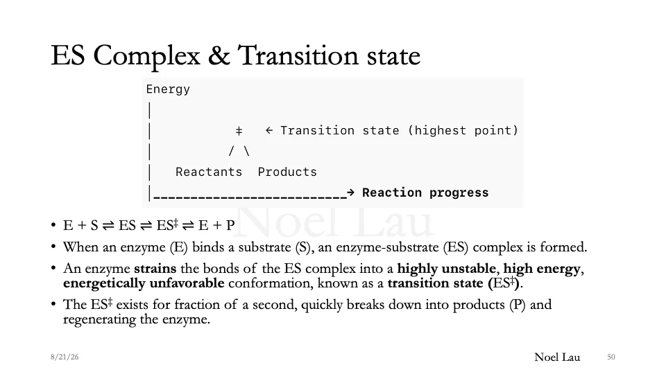 Slide 50