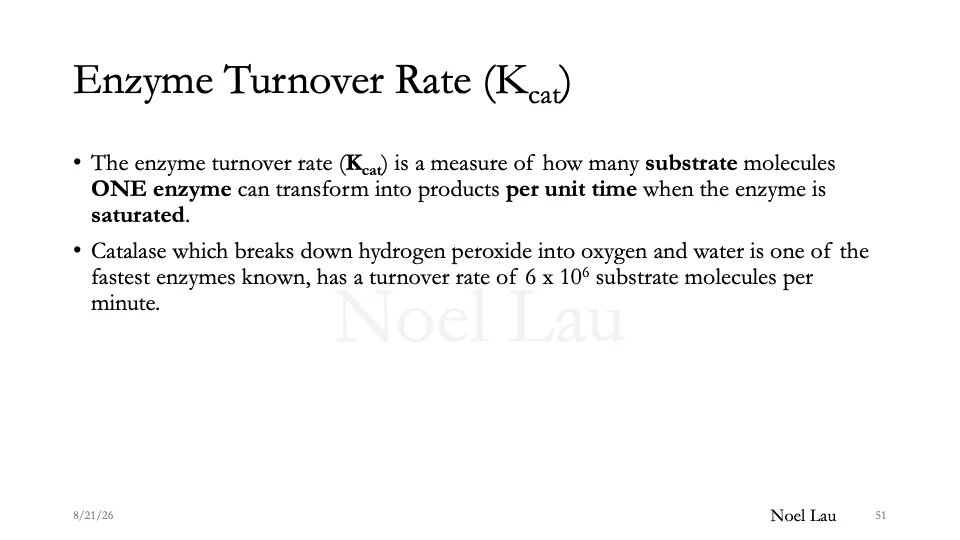 Slide 51