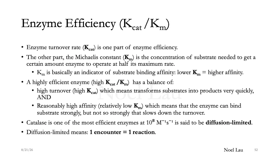 Slide 52