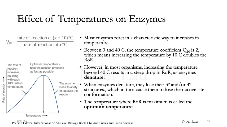 Slide 53