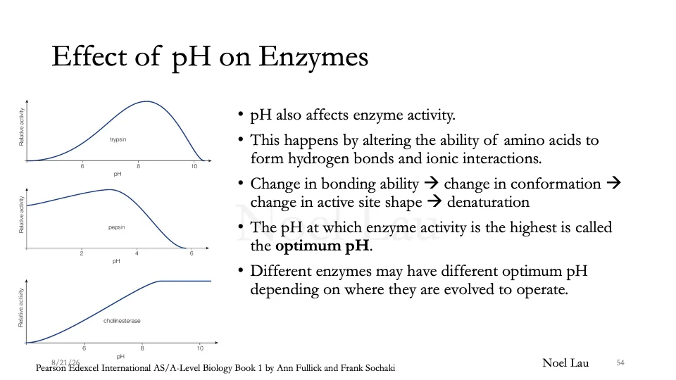 Slide 54