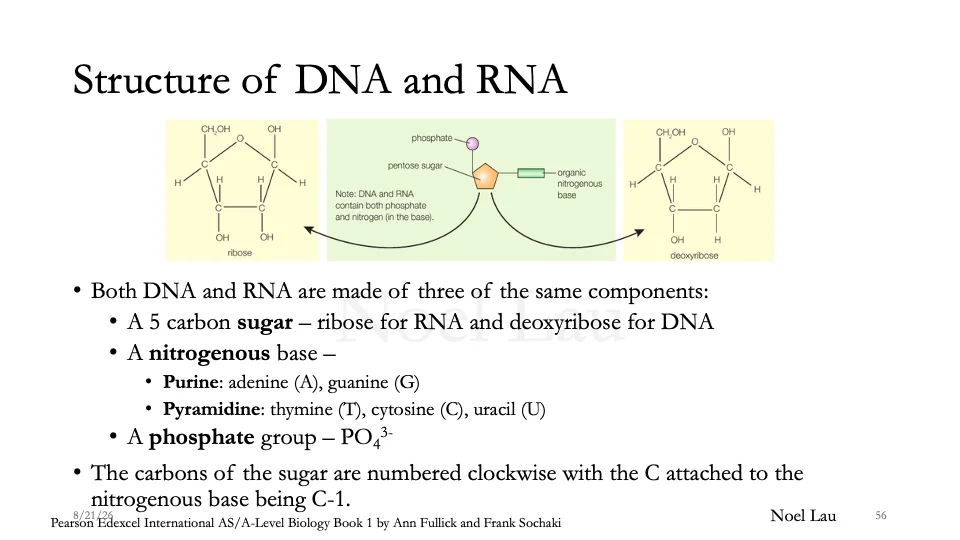 Slide 56