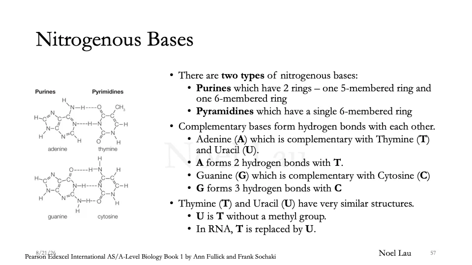 Slide 57