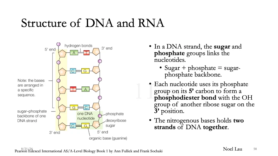 Slide 58