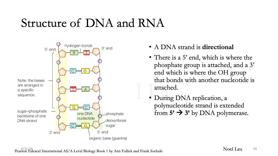 Slide 59