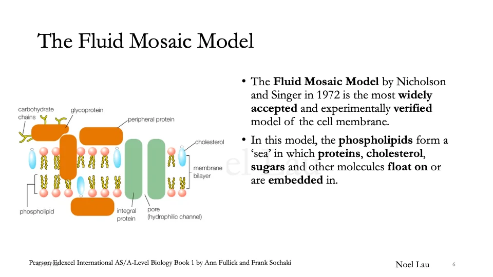 Slide 6