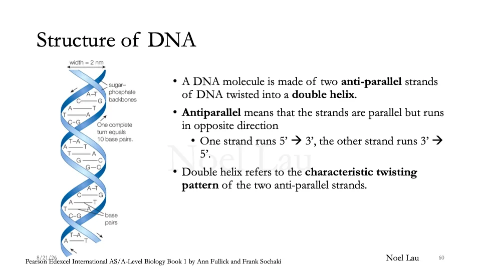 Slide 60