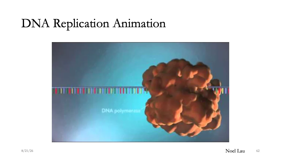 Slide 62