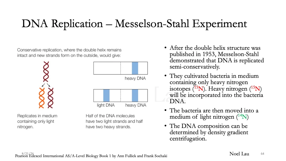 Slide 64
